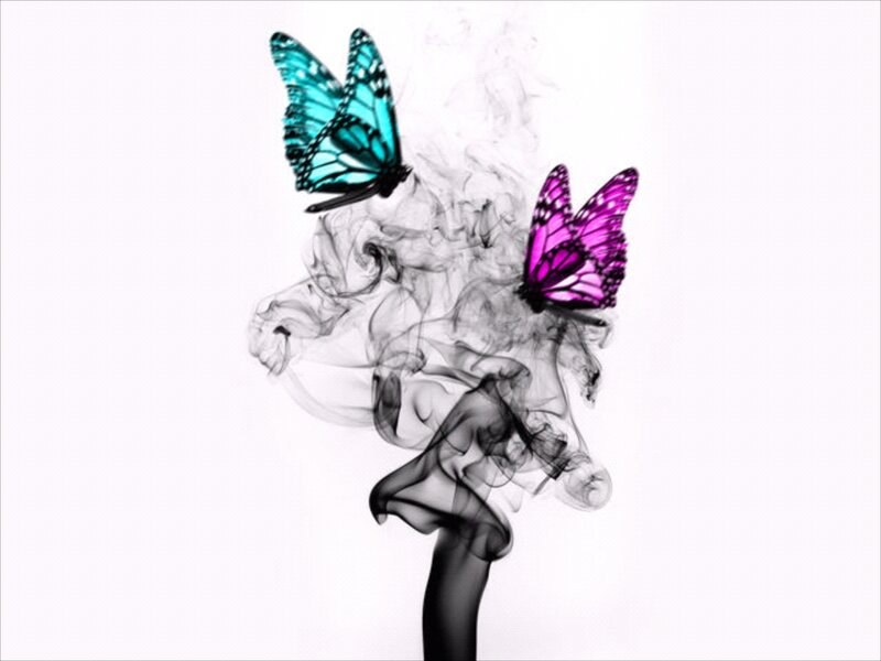 Two Butterflies in Smoke