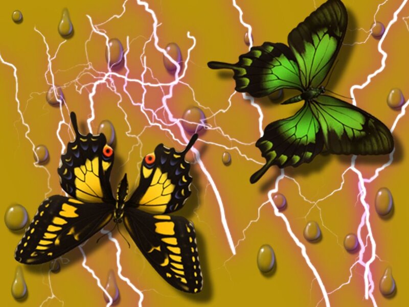 Two Butterflies in Storm