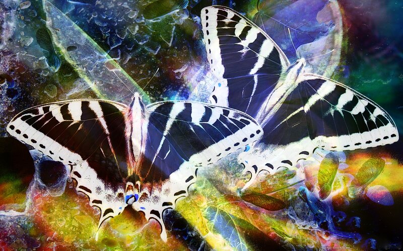 Two Butterflies on Leaf — Blue