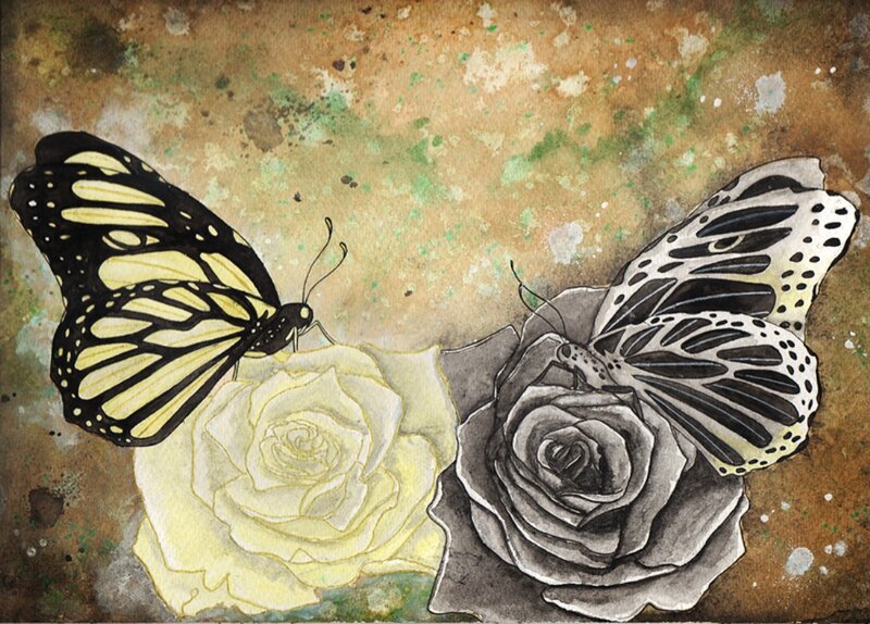 Two Butterflies on Roses