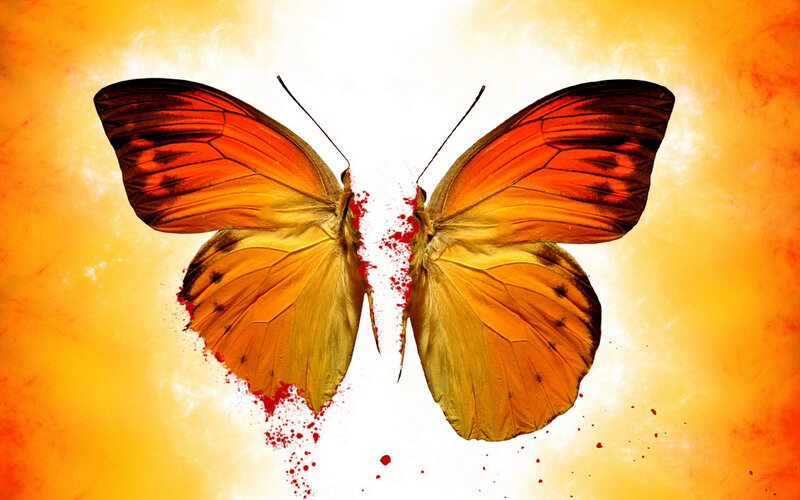 Two Butterflies Split