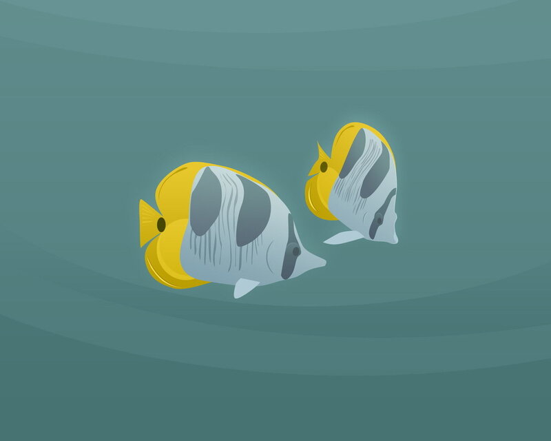 Two Butterfly Fish — Teal