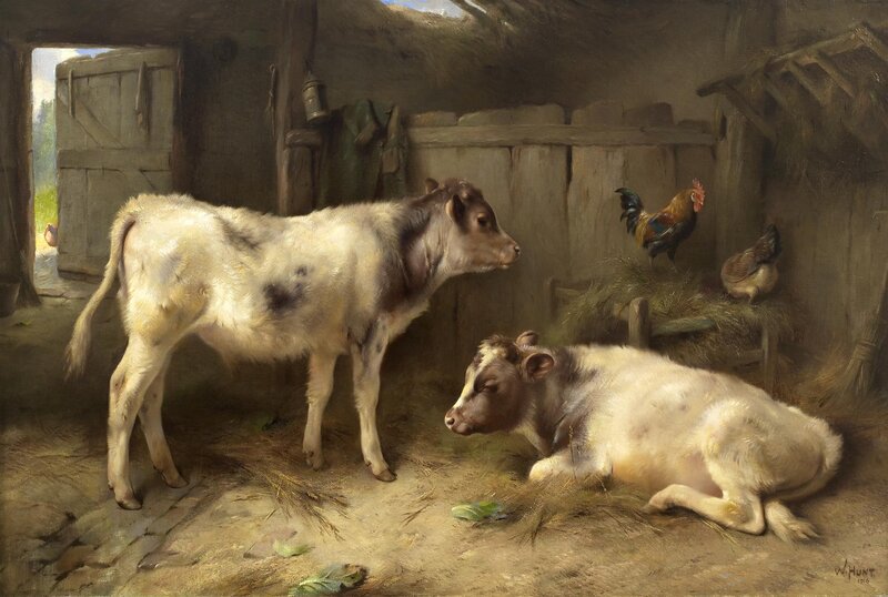 Two Calves in Barn