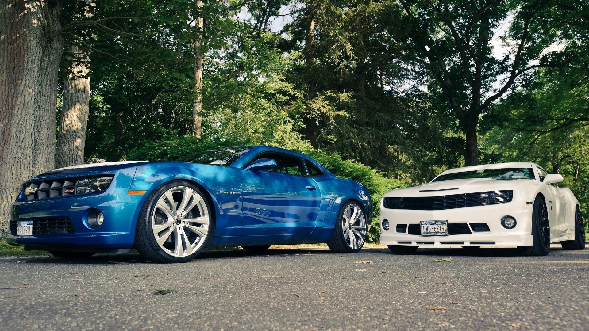 Two Camaro cars parked