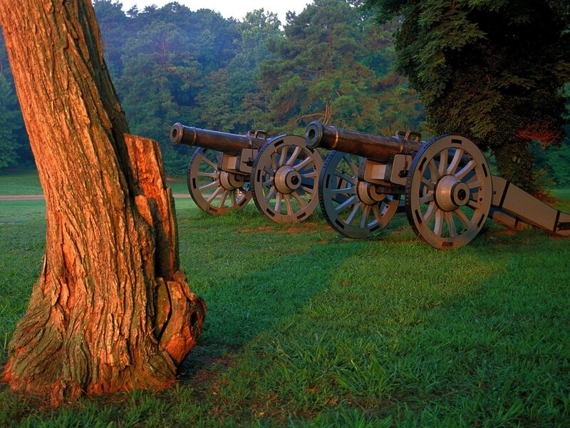 Two Cannons on Grass