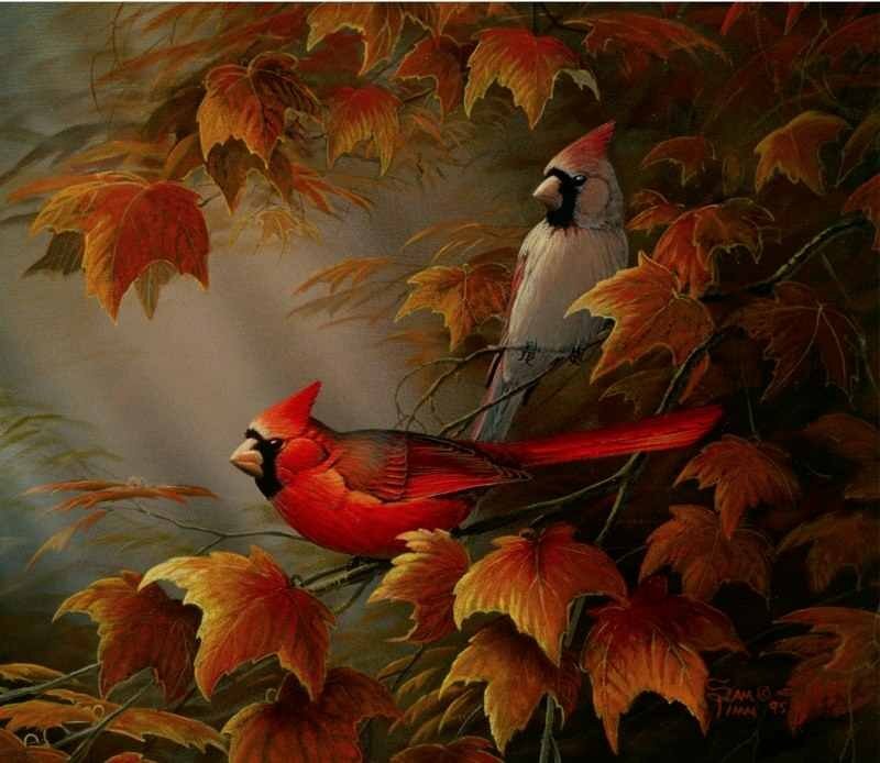 Two Cardinals in Autumn Leaves — Red
