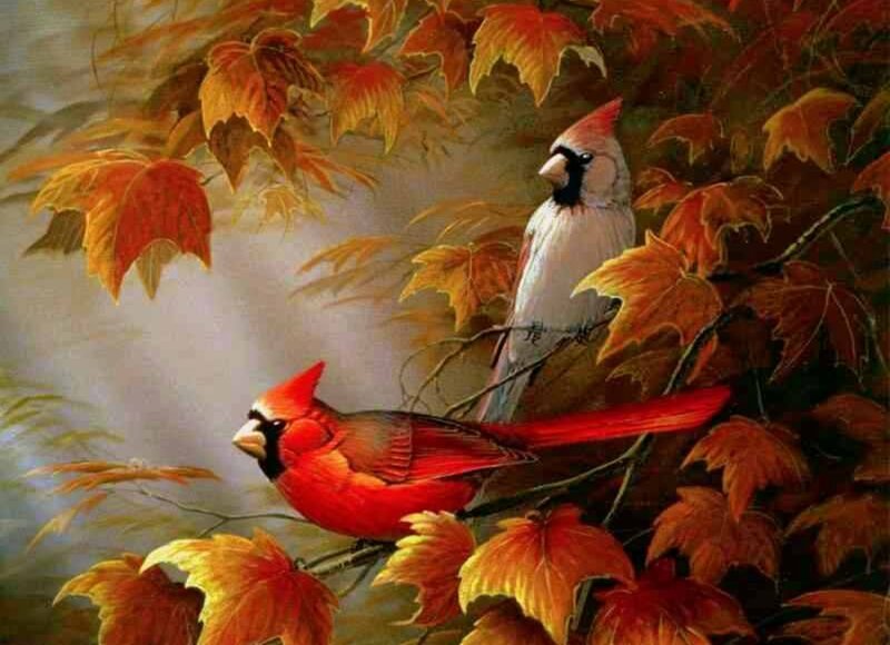 Two Cardinals in Autumn Leaves