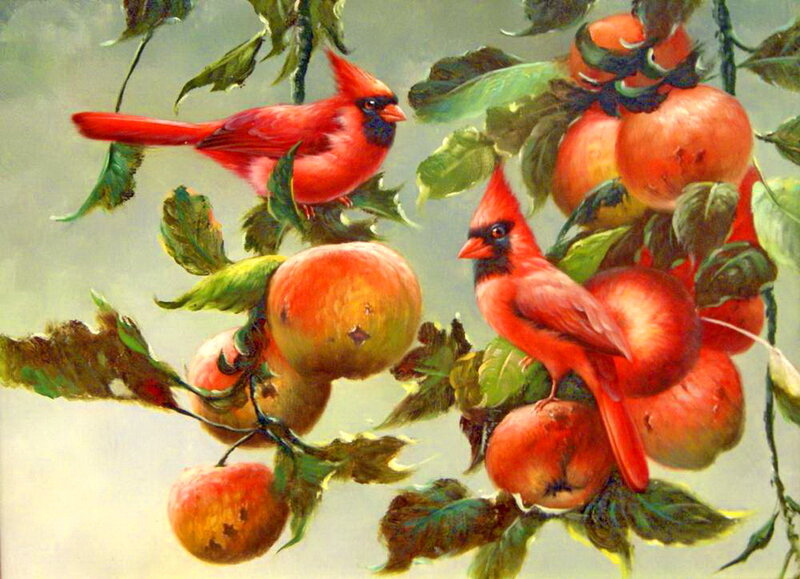 Two Cardinals on Apple Tree