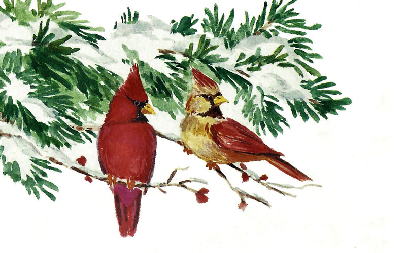 Two Cardinals on Branch — Red, Calm, Winter, Painting