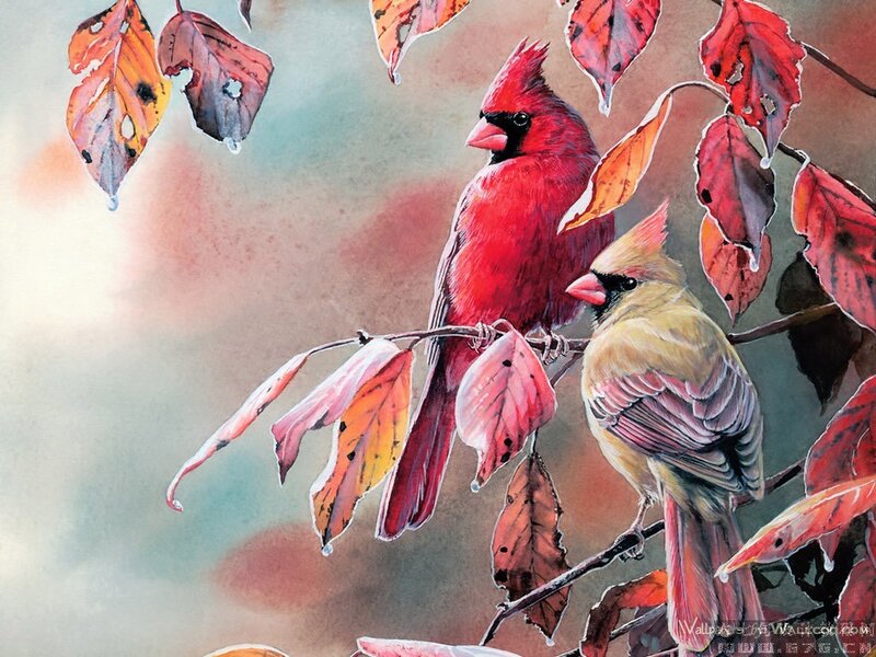 Two Cardinals on Branch — Red, Serene, Autumn