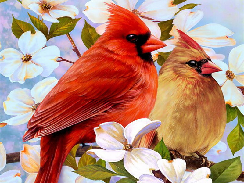 Two Cardinals on Branch — Red, Serene, Spring, Painting, Flowers
