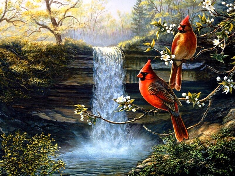 Two Cardinals on Branch — Red, Serene, Spring