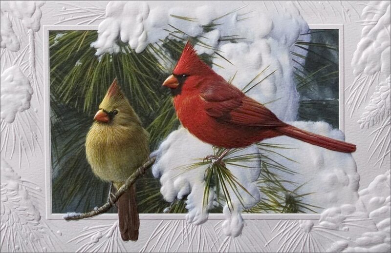 Two Cardinals on Branch — Red