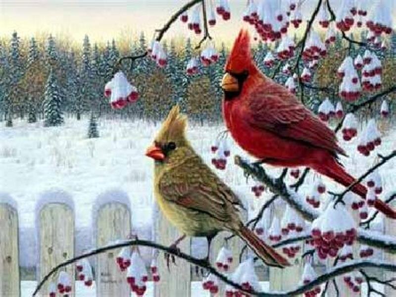 Two Cardinals on Branch