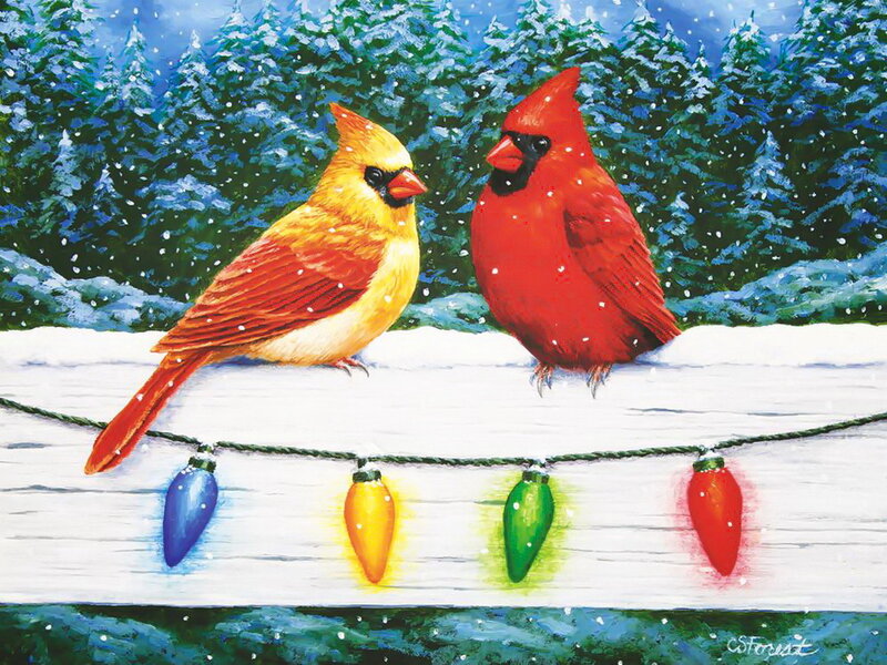 Two Cardinals on Fence — Red, Festive