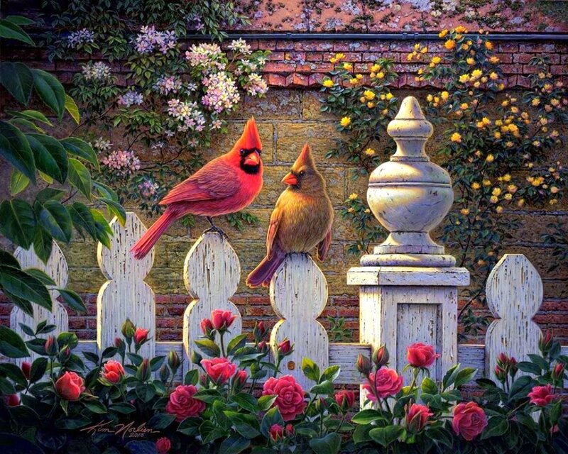Two Cardinals on Fence — Red, Serene