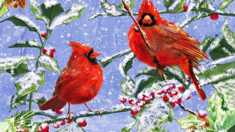 Two Cardinals on Holly — Red