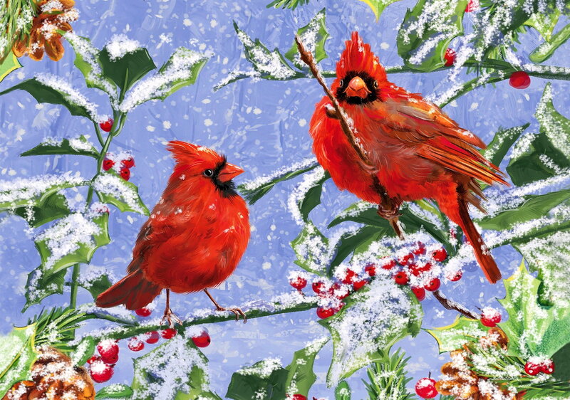 Two Cardinals on Holly