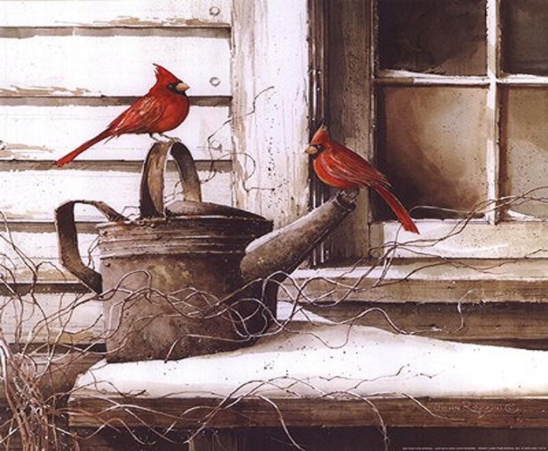 Two Cardinals on Porch