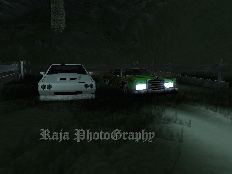 Two Cars in a Field
