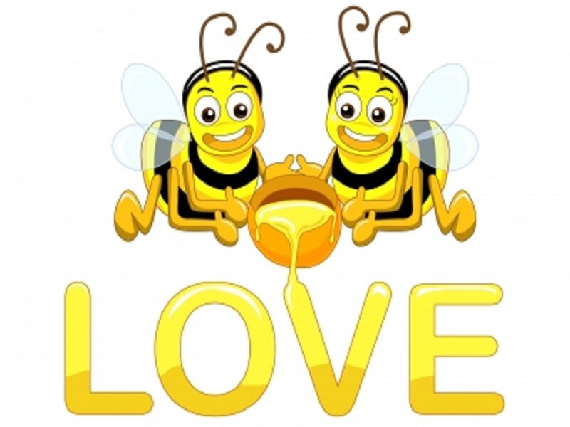 Two Cartoon Bees