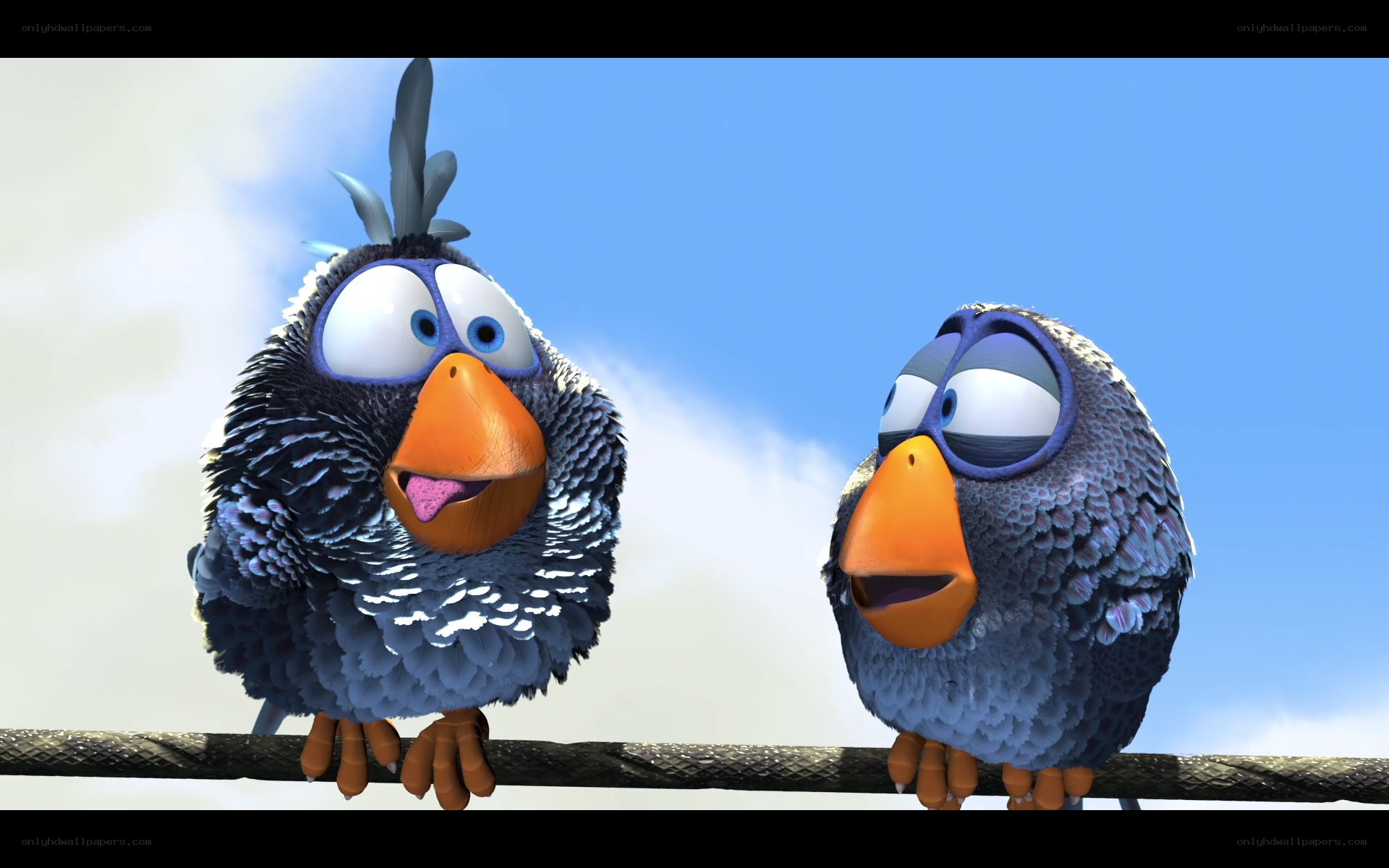 two cartoon birds on a wire