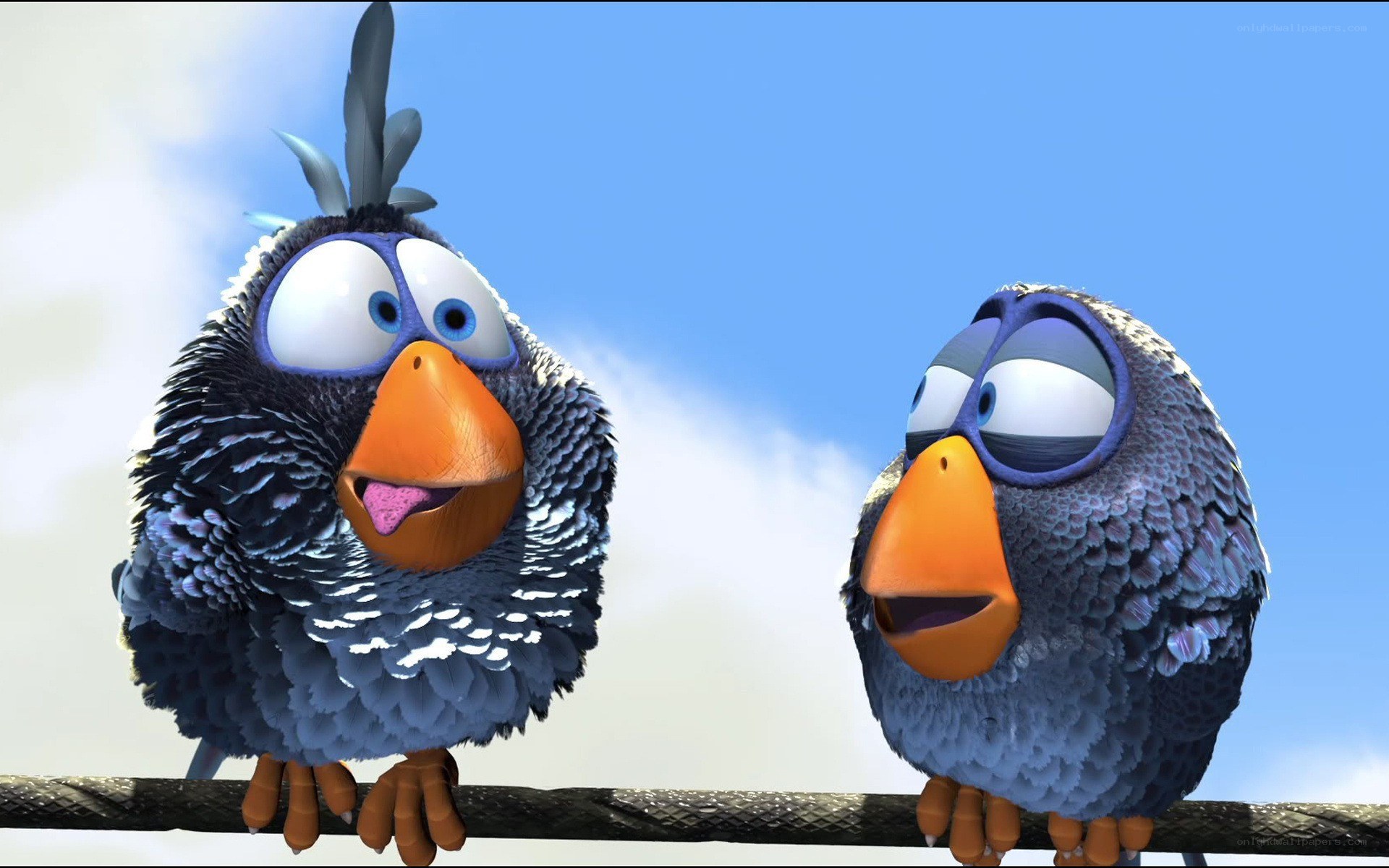 two cartoon birds on a wire