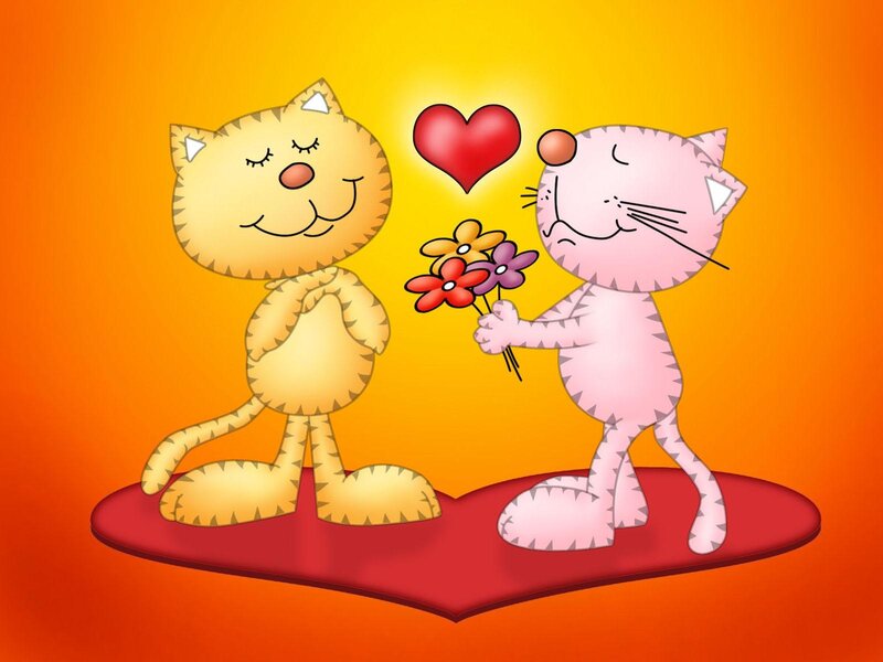 Two Cartoon Cats — Orange