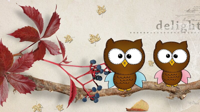 Two Cartoon Owls on Branch