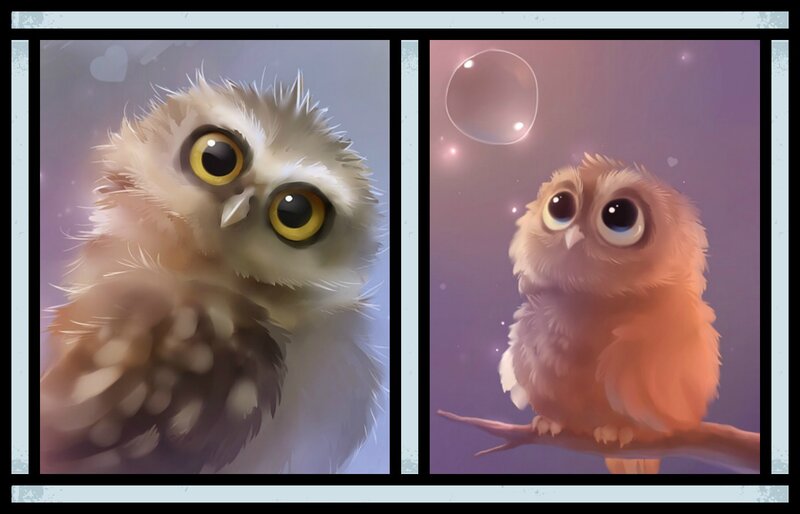 Two Cartoon Owls