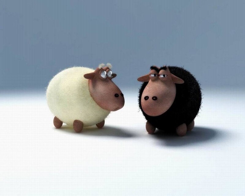 two cartoon sheep facing each other