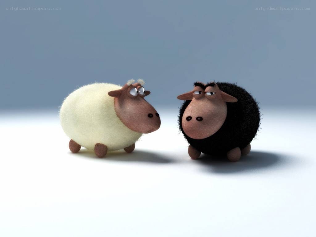 two cartoon sheep facing each other