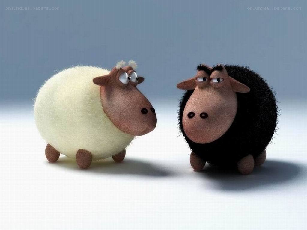 two cartoon sheep facing each other