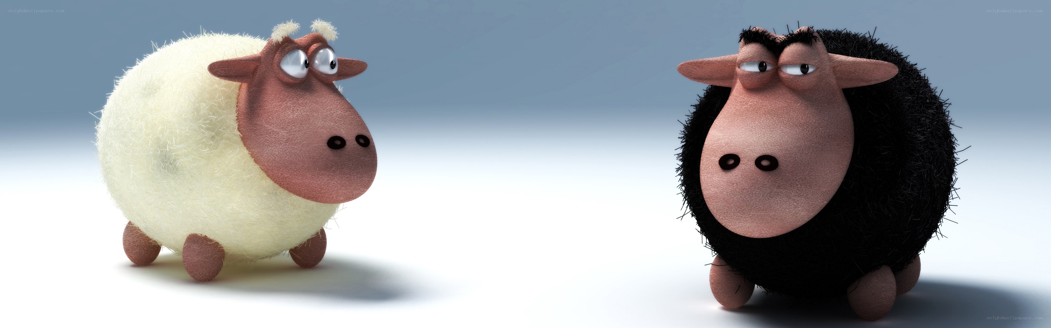two cartoon sheep facing each other