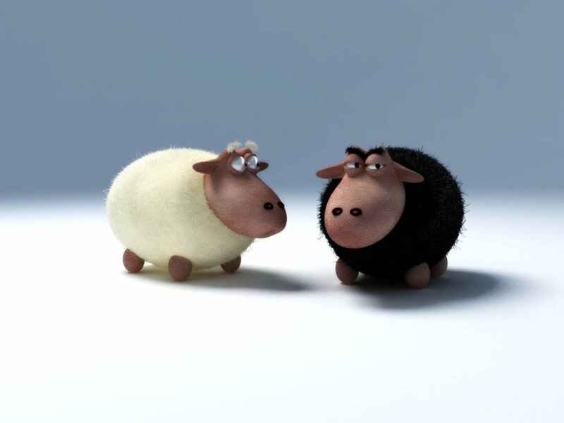 Two Cartoon Sheep — White, Neutral, 3d Render, Background, Black