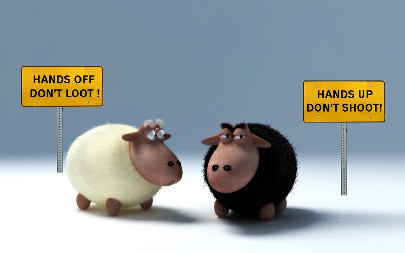 Two Cartoon Sheep — White