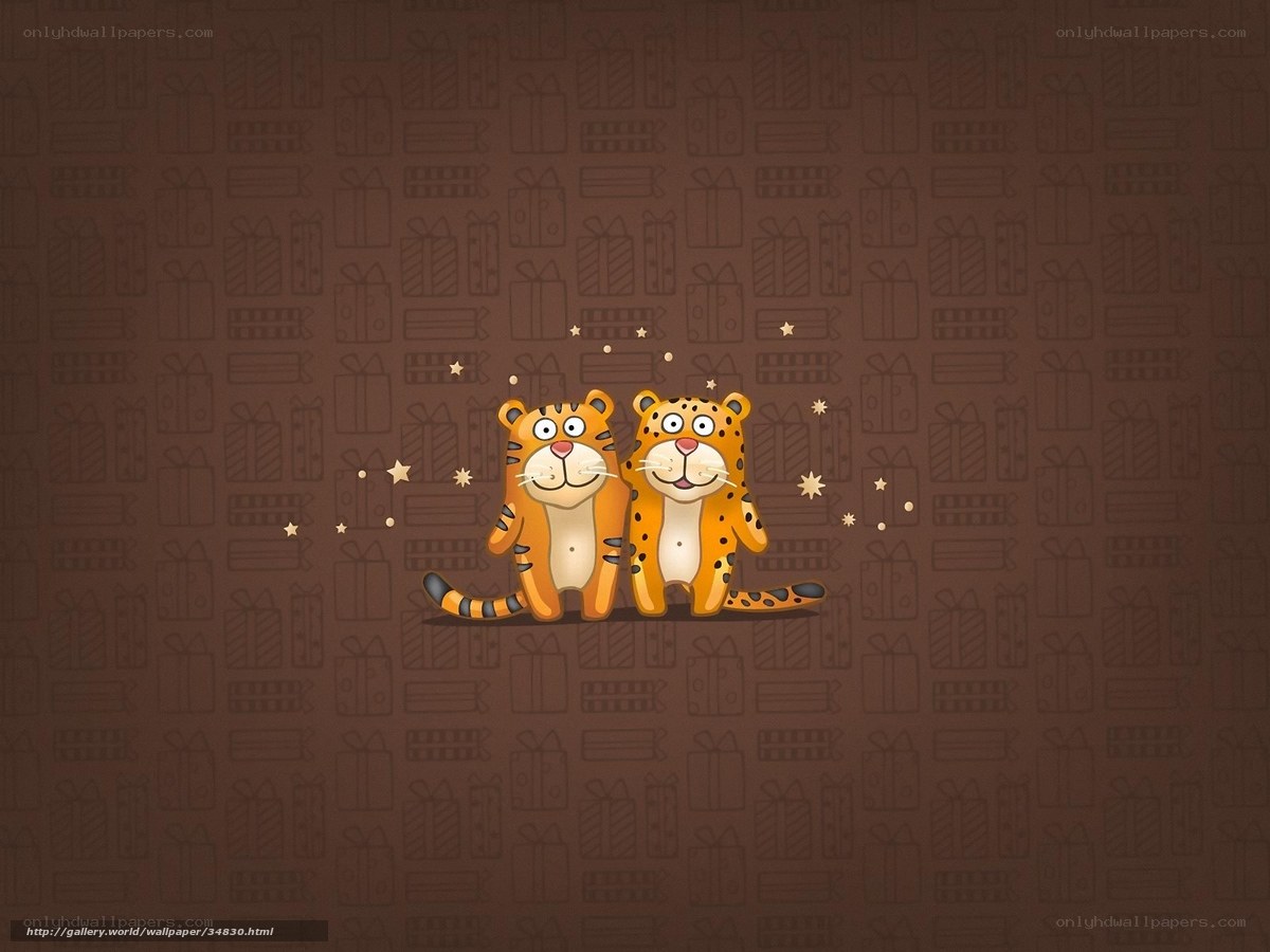 Two cartoon tigers on gift background