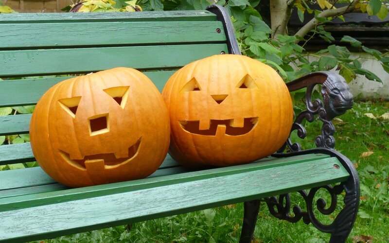 Two carved pumpkins on a bench