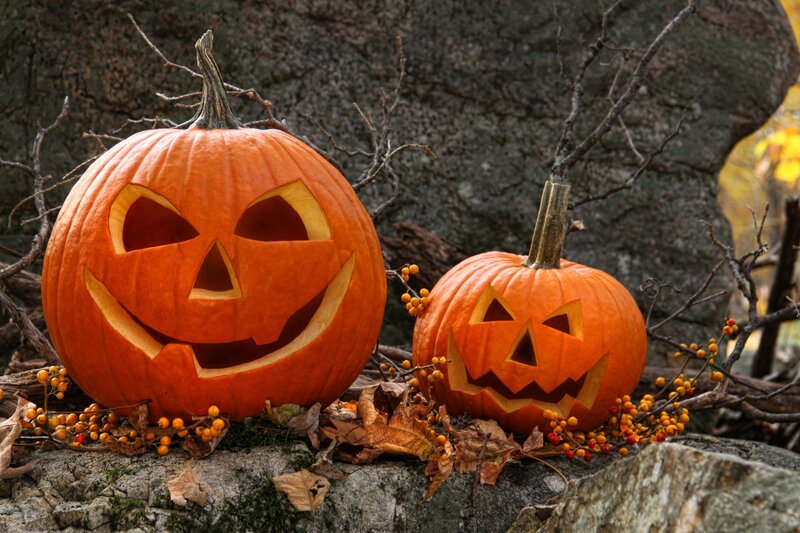 Two Carved Pumpkins — Orange, Festive, Autumn