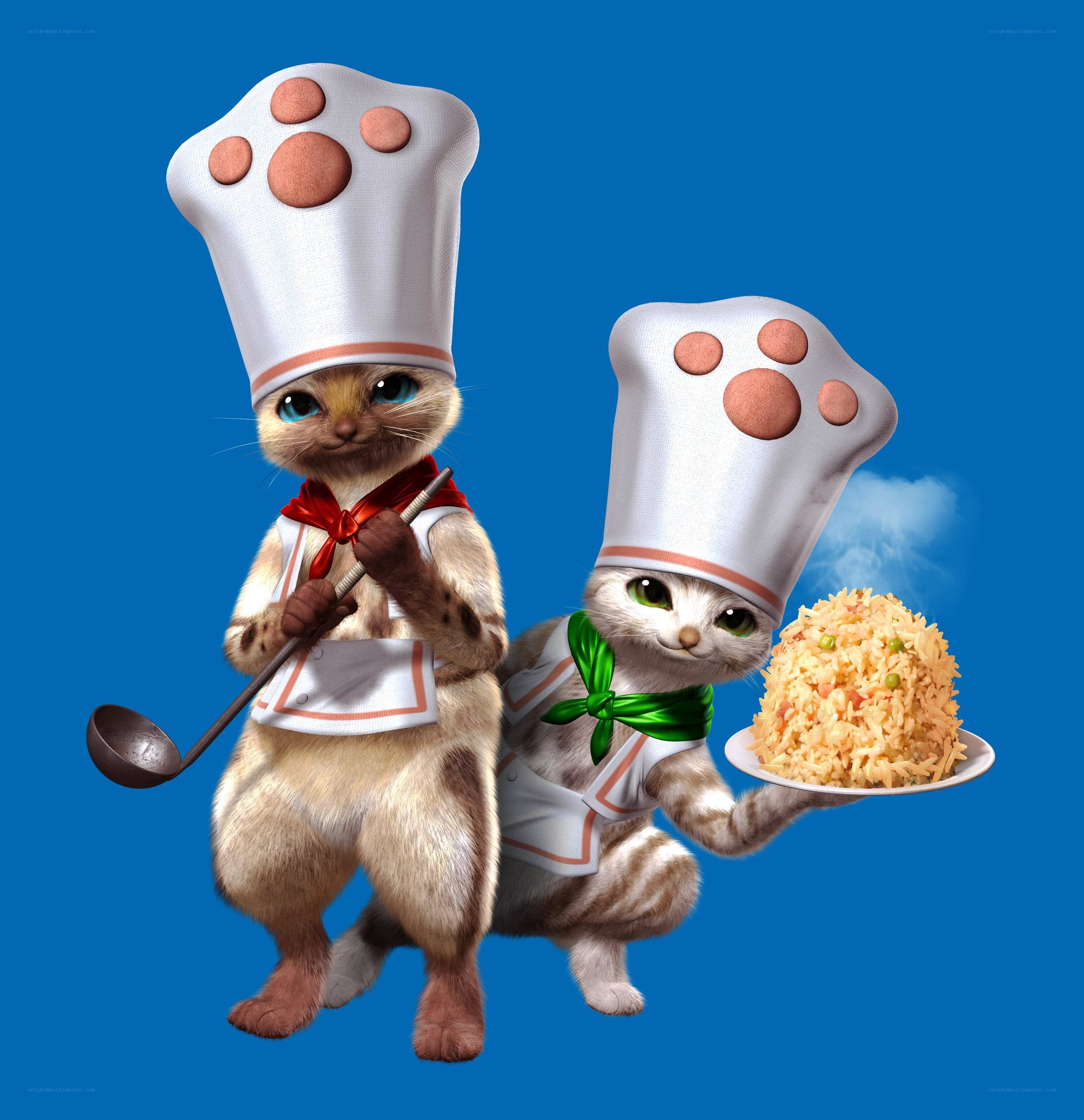 Two cat chefs with food