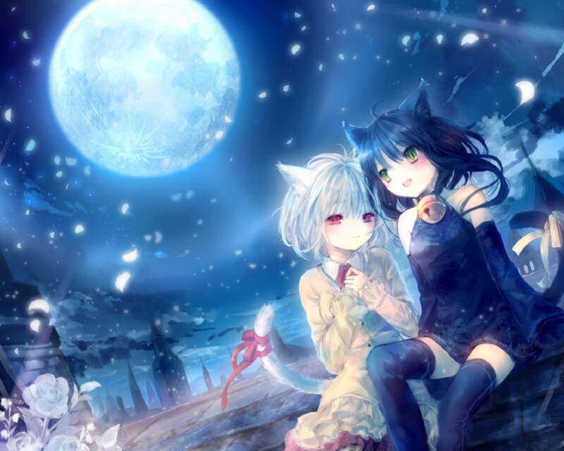 Two Cat-eared Girls — Blue, Serene, Night