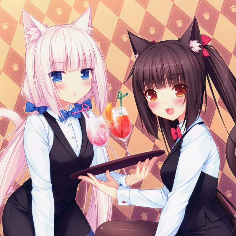 Two Cat-eared Girls — Pink, Cheerful, Anime