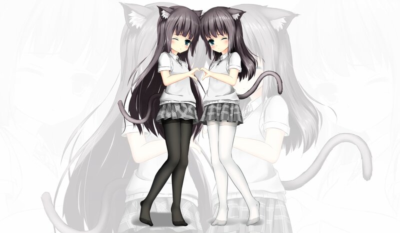 Two Cat-eared Girls — White, Playful, Anime