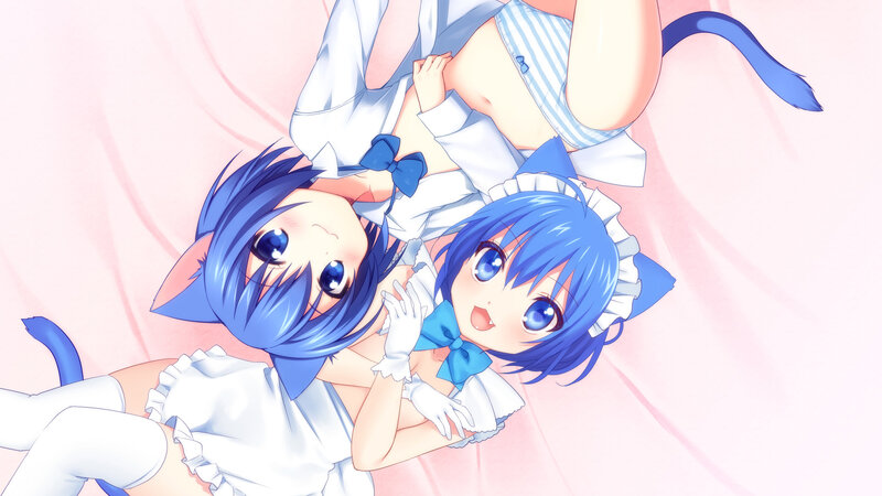 two cat girls in maid outfits
