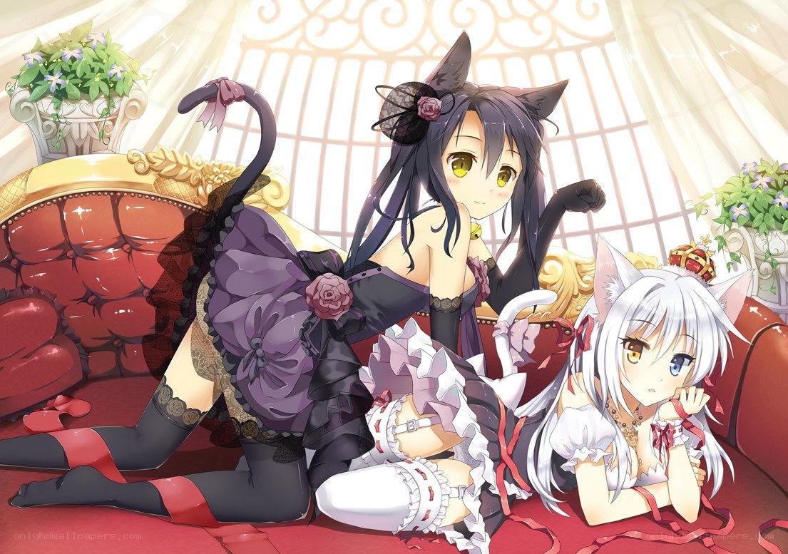 Two cat girls on a red couch