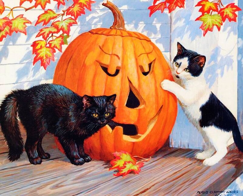 Two Cats and a Pumpkin — Orange