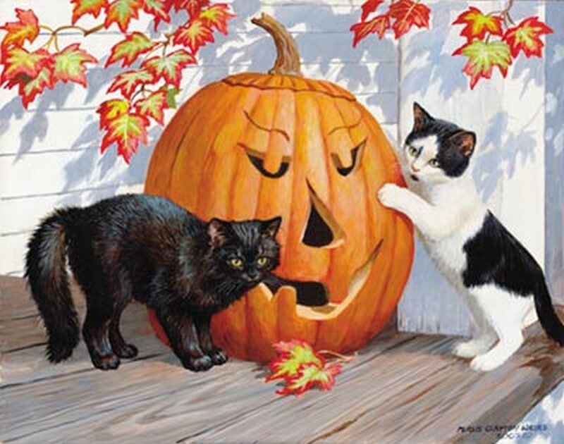 Two Cats and a Pumpkin