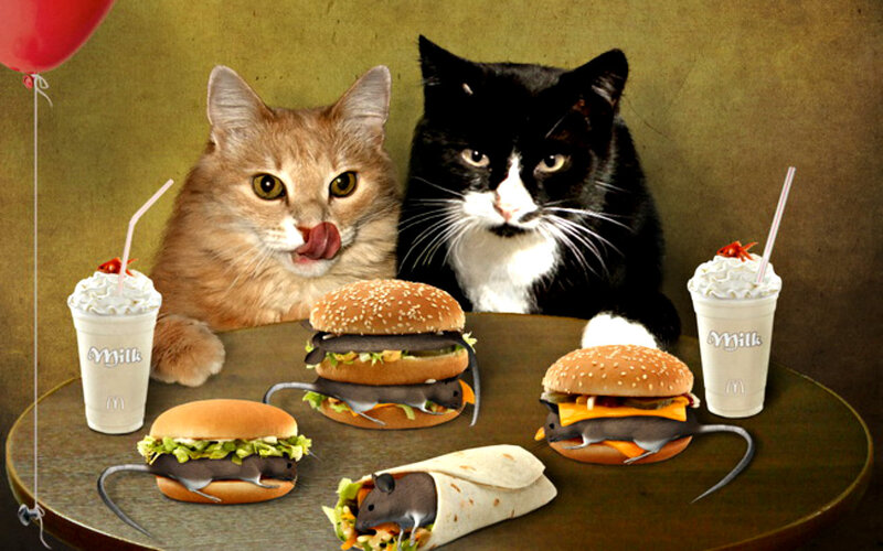 Two Cats at Table — Brown
