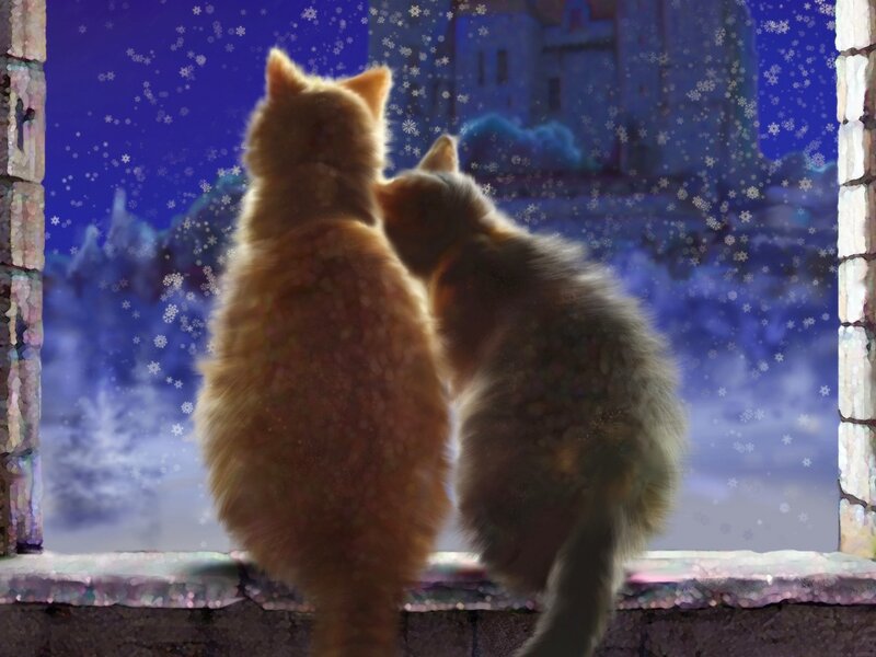 Two Cats at Window — Blue, Serene, Night
