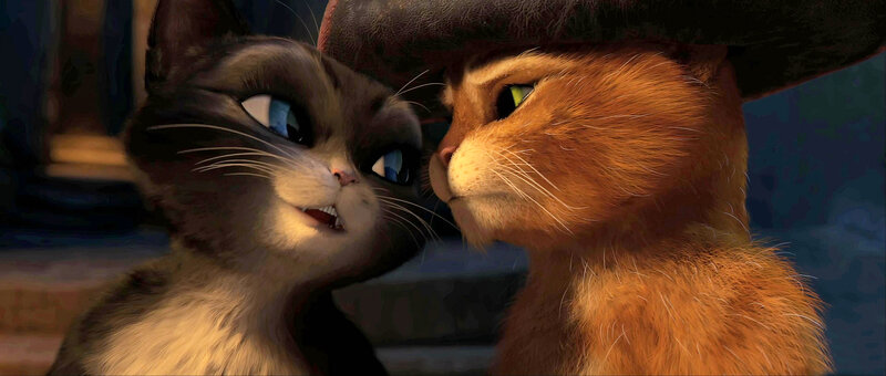 Two Cats Facing Each Other — Brown